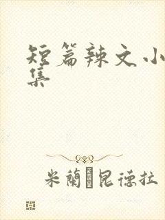 短篇辣文小说合集