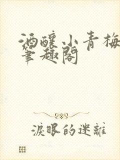 酒酿小青梅po笔趣阁