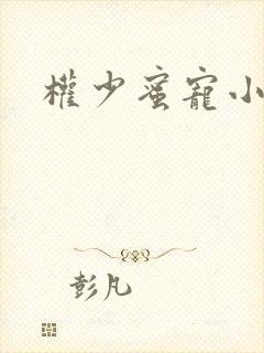 权少蜜宠小娇妻