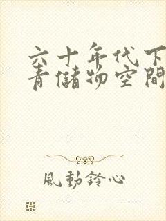 六十年代下乡知青储物空间