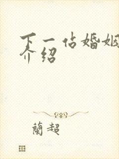 下一站婚姻剧情介绍