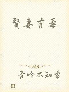 贤妻有毒