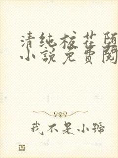 清纯校花堕落记小说免费阅读