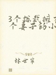 3个总裁拥有一个妻子的小说