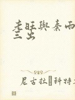 老旺与秦雨三进三出