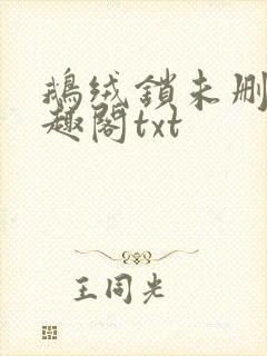 鹅绒锁未删除笔趣阁txt