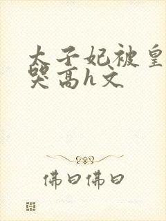 太子妃被皇上c哭高h文