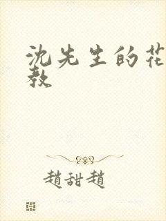 沈先生的花式管教