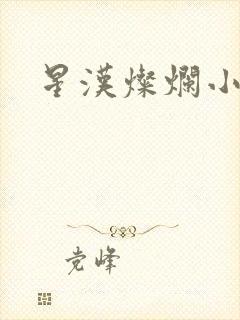 星汉灿烂小说