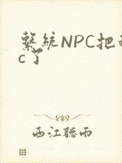 系统NPC把我c了