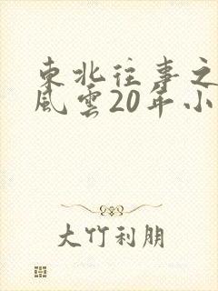 东北往事之黑道风云20年小说