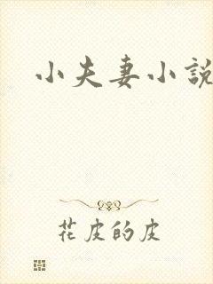 小夫妻小说