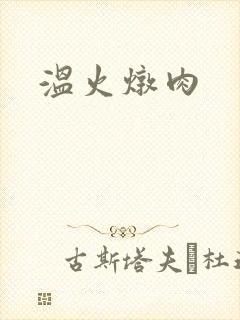 温火炖肉