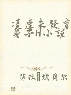 凌虐未发育的小身子H小说