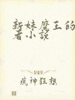 新妹魔王的契约者小说