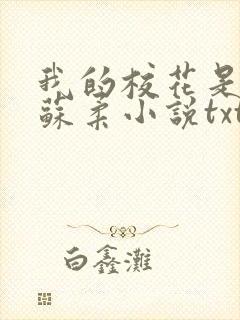 我的校花是福姬苏柔小说txt