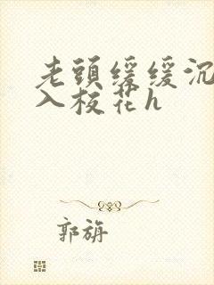 老头缓缓沉腰进入校花h