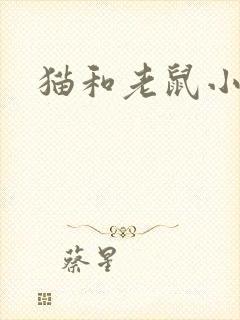 猫和老鼠小说
