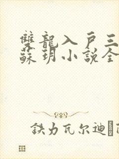 双龙入户三人行苏玥小说全文阅读