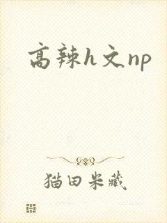 高辣h文np
