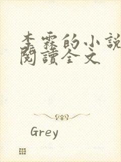 李霖的小说免费阅读全文