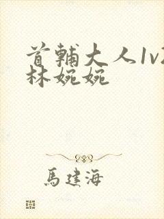 首辅大人1v2林婉婉