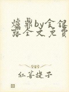 炉鼎by金银花露全文免费阅读笔趣阁