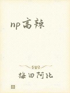 np高辣