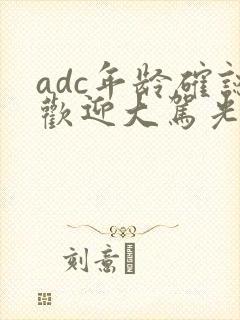 adc年龄确认欢迎大驾光临小说