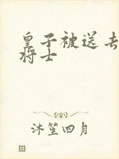 皇子被送去犒劳将士