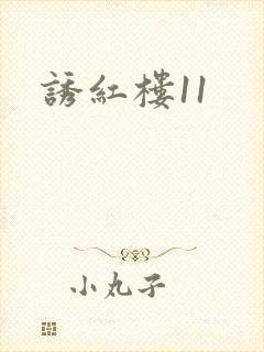 诱红楼11