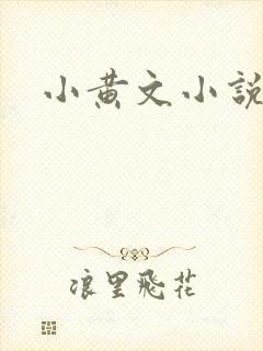 小黄文小说
