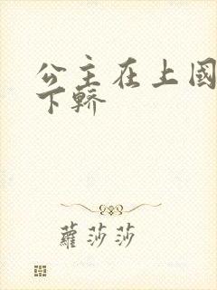 公主在上国师请下轿