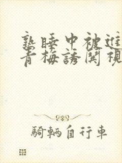 熟睡中被进了H青梅诱哄视频