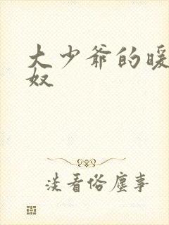 大少爷的暖床小奴