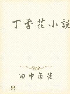 丁香花小说