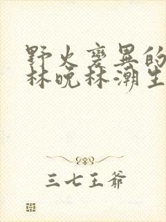 野火变异的父爱林晚林潮生