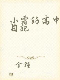 小霜的高中成长日记
