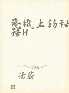 飞机上的秘密服务H