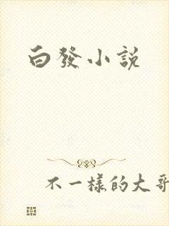 白发小说