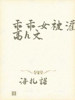 乖乖女被灌满精高h文