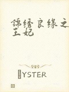 锦绣良缘之北地王妃