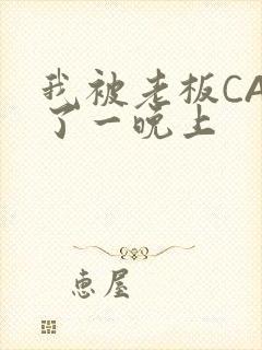 我被老板CAO了一晚上