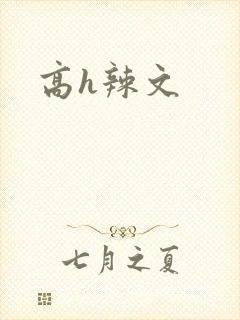 高h辣文