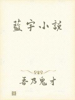蓝宇小说
