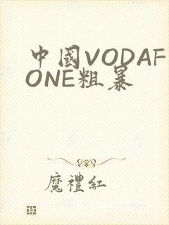 中国VODAFONE粗暴