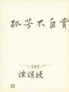 孤芳不自赏小说