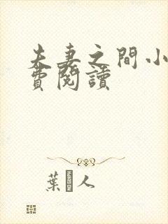 夫妻之间小说免费阅读