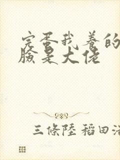 完蛋我养的小白脸是大佬