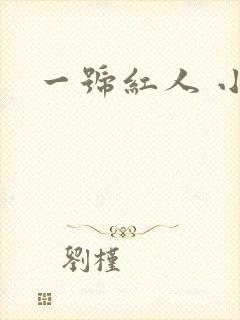 一号红人 小说